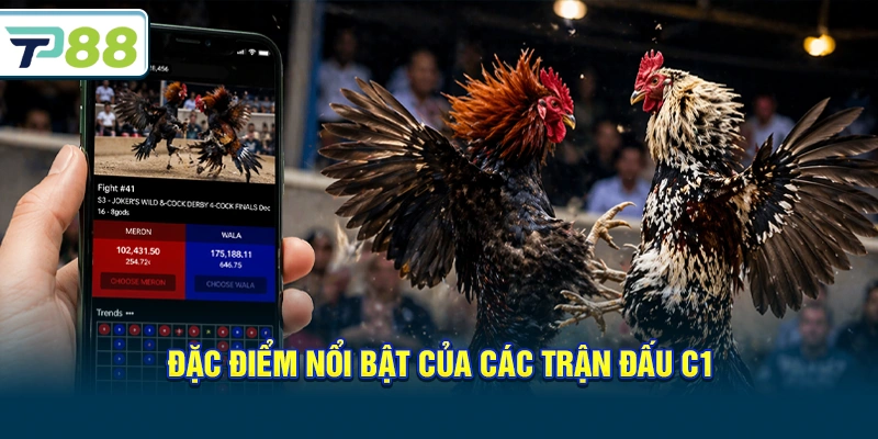 Đặc điểm nổi bật của các trận đấu C1