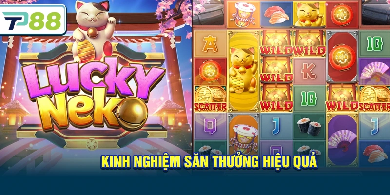 Kinh nghiệm săn thưởng hiệu quả