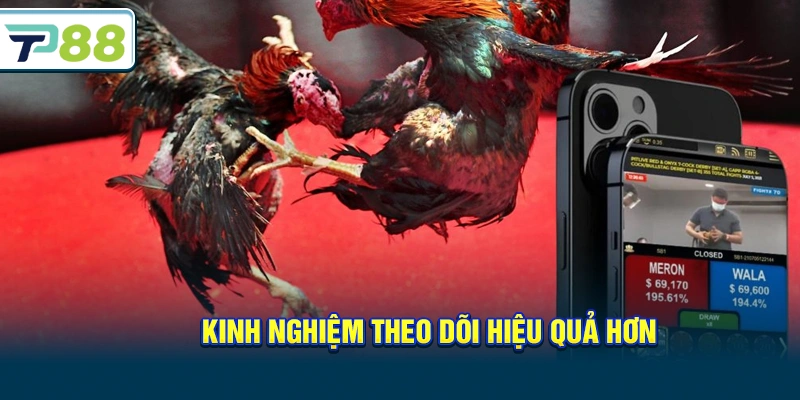 Kinh nghiệm theo dõi hiệu quả hơn