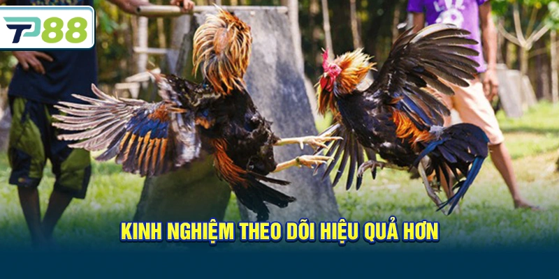 Kinh nghiệm theo dõi hiệu quả hơn
