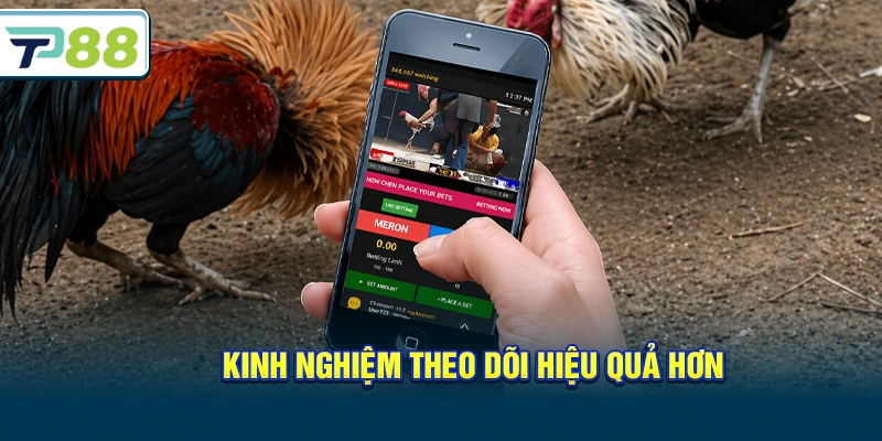 Kinh nghiệm theo dõi hiệu quả hơn