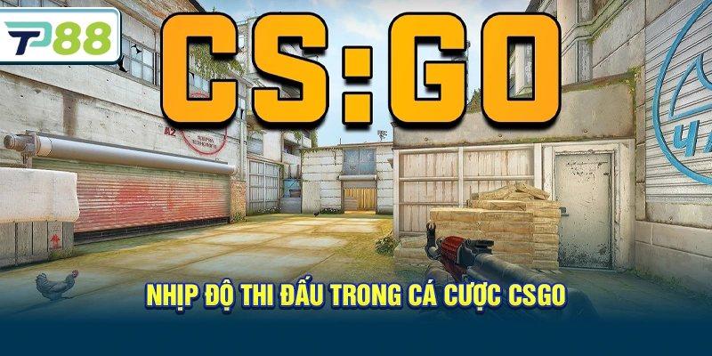 Nhịp độ thi đấu trong Cá Cược CSGO