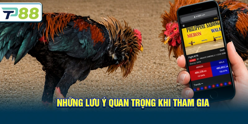 Những lưu ý quan trọng khi tham gia