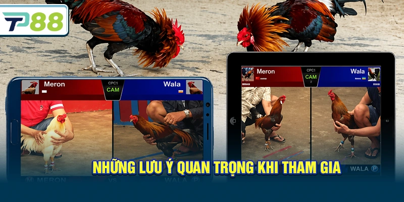 Những lưu ý quan trọng khi tham gia