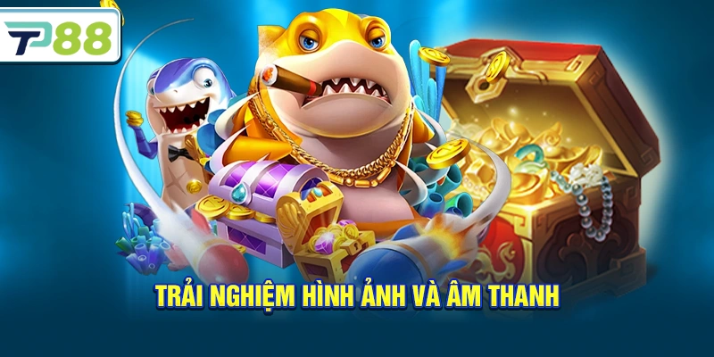 Trải nghiệm hình ảnh và âm thanh