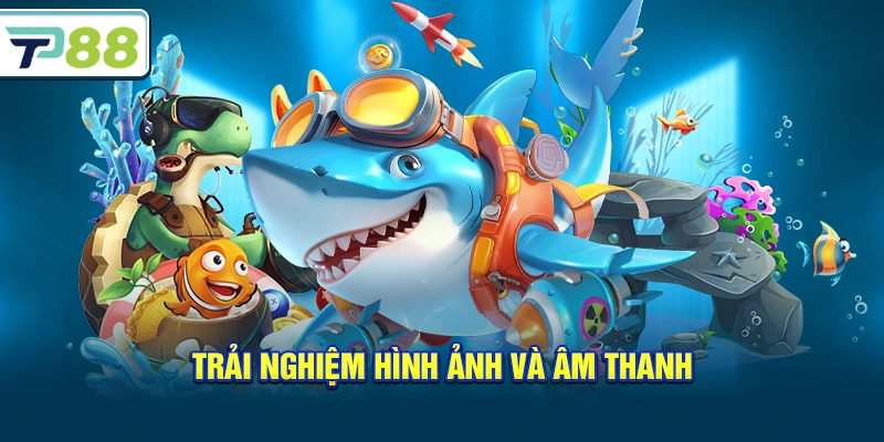 Trải nghiệm hình ảnh và âm thanh