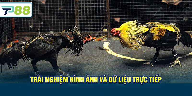 Trải nghiệm hình ảnh và dữ liệu trực tiếp