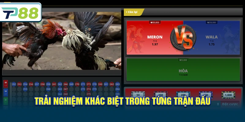 Trải nghiệm khác biệt trong từng trận đấu