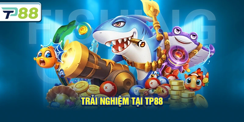 Trải nghiệm tại Tp88