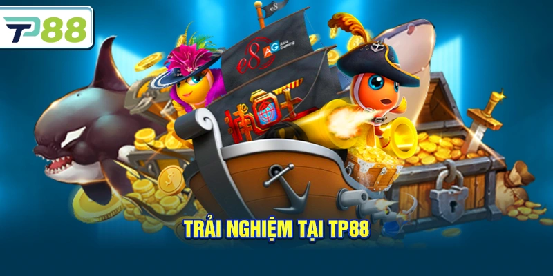 Trải nghiệm tại Tp88