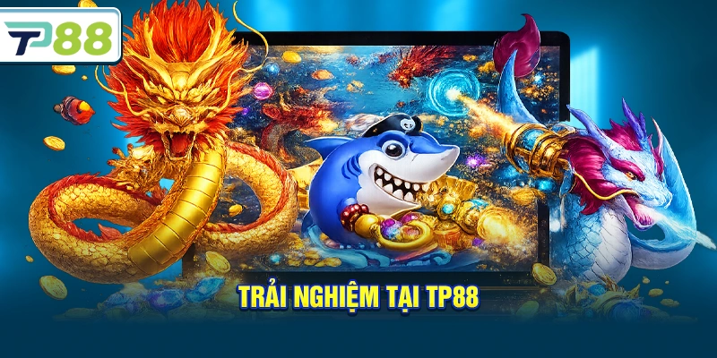 Trải nghiệm tại Tp88