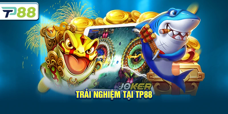 Trải nghiệm tại Tp88